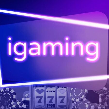 iGaming дебютирует в Мичигане, к запуску присоединяются основные провайдеры