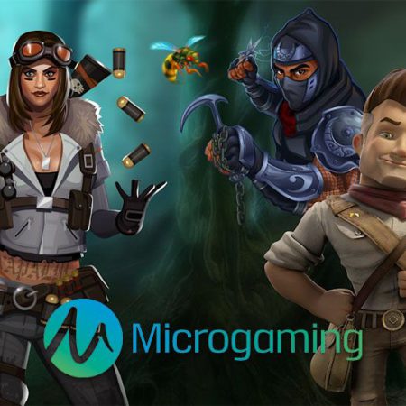 Лучшие игровые автоматы Microgaming для заядлых игроков